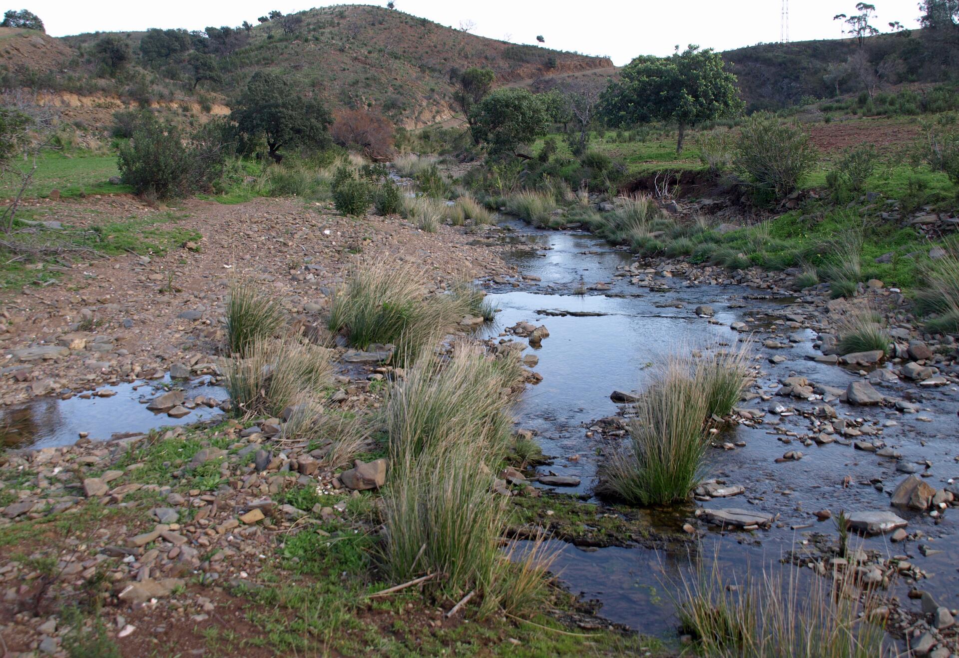PR1 Corte Antonio Martins boven VN de Cacela